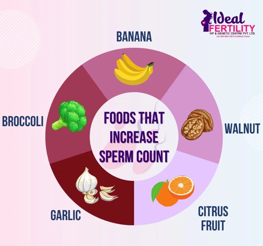 Ideal Fertility-Food for better Sperm COunt