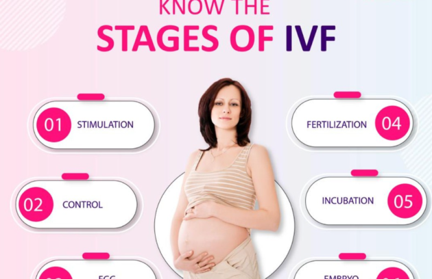 Ideal Fertility-IVF Stages