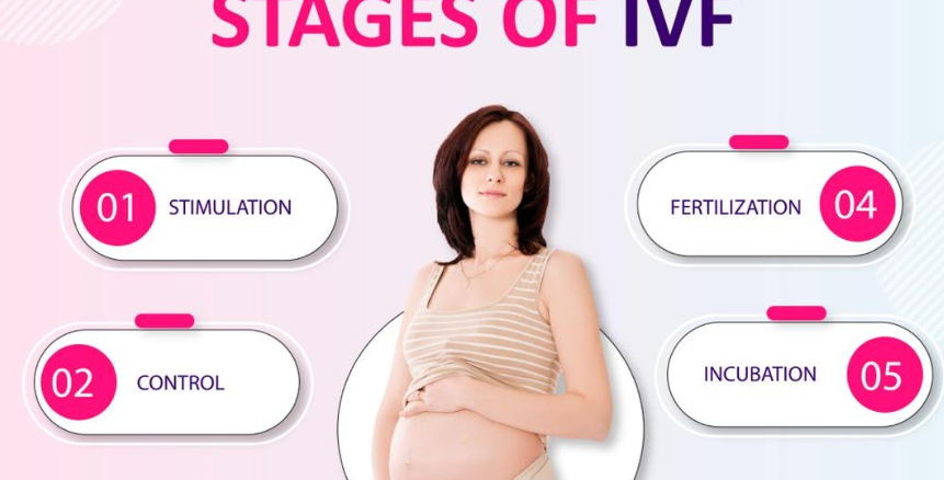 Ideal Fertility-IVF Stages