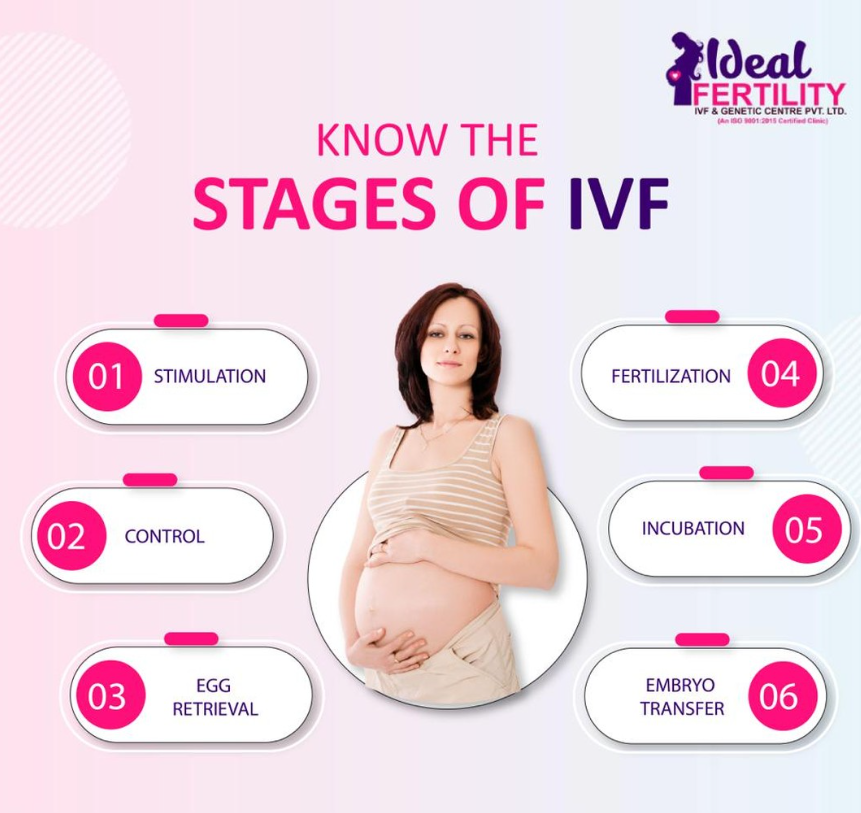 Ideal Fertility-IVF Stages