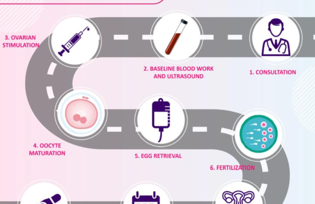 Ideal Fertility-IVF Steps