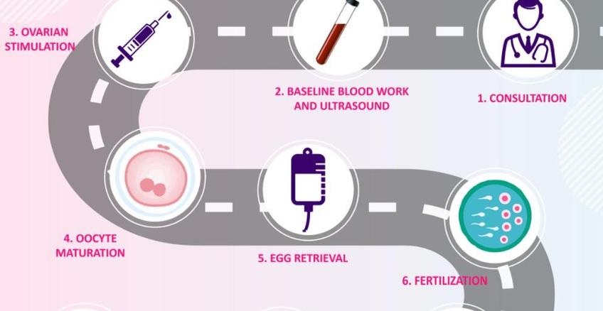 Ideal Fertility-IVF Steps