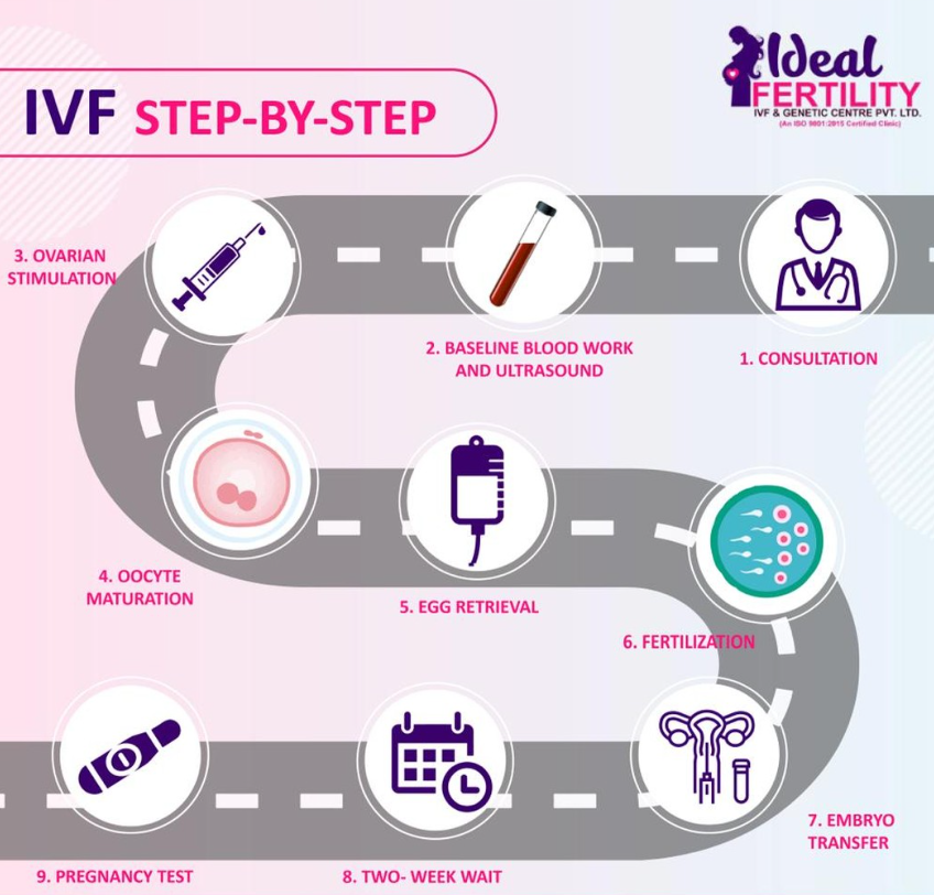 Ideal Fertility-IVF Steps