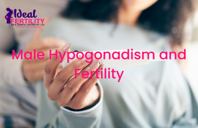 Male Hypogonadism and Fertility