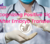 Recognizing Positive Signs After Embryo Transfer