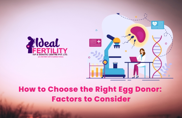 How to Choose the Right Egg Donor: Factors to Consider